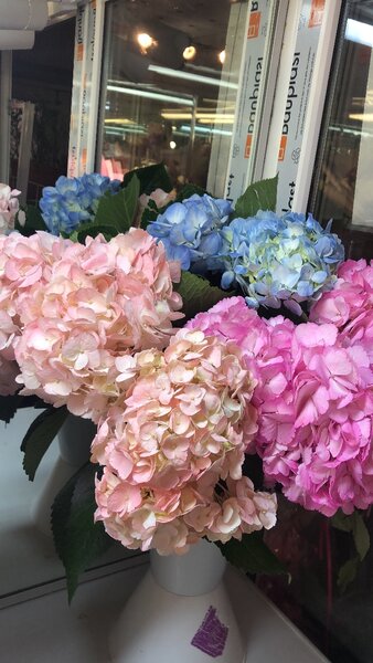 Лучшее у нас