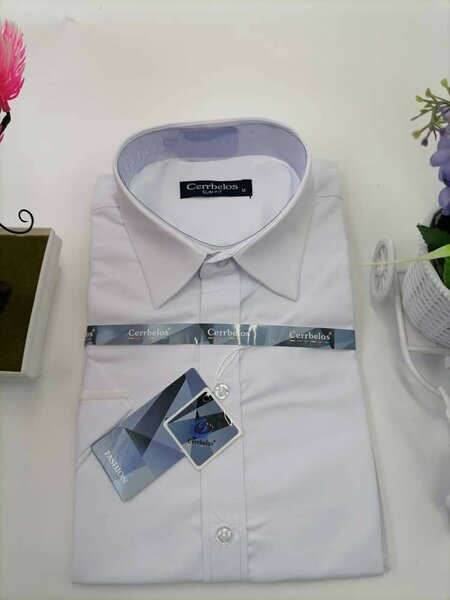Cerrbelos shirt