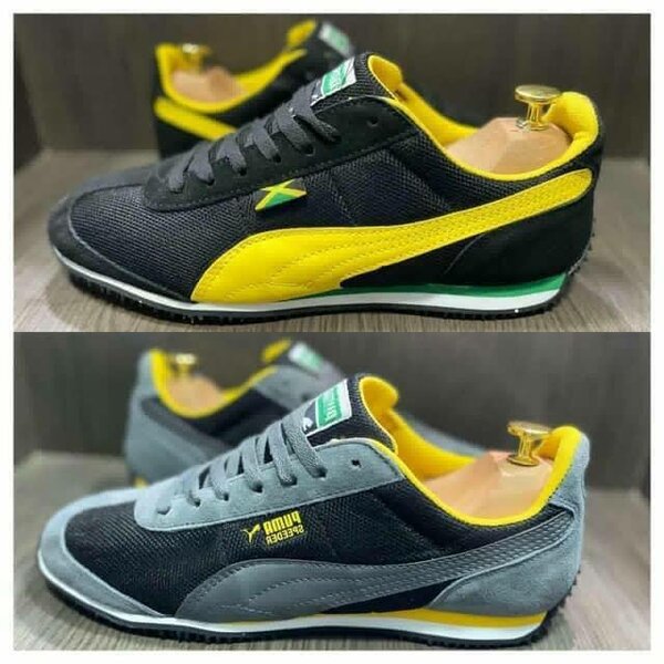 Baskets Homme Tendance