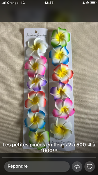 Pinces à cheveux fleurs colorées