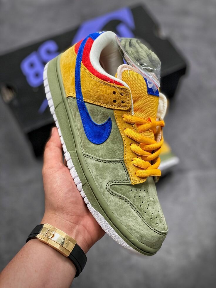 Baskets Nike SB colorées