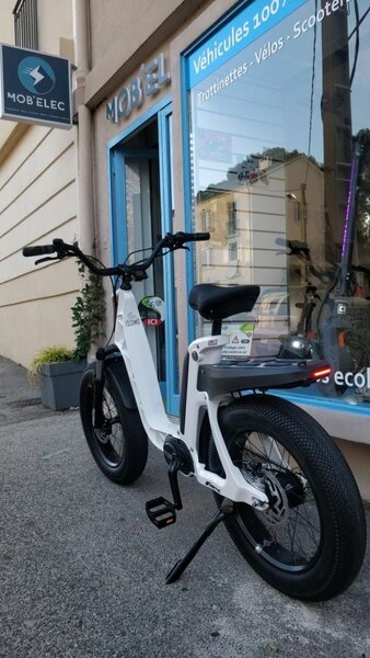 Vélo Électrique Tout Terrain