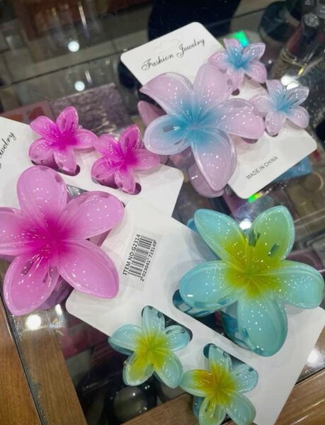 Clips à Cheveux Fleurs Colorées
