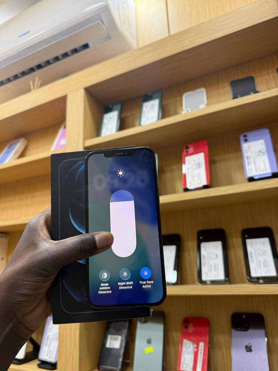 iPhone 12 Pro Max Bleu