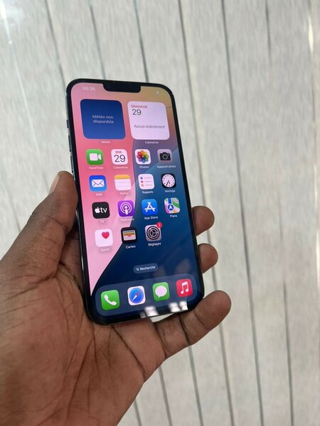 13 pros max 512 giga