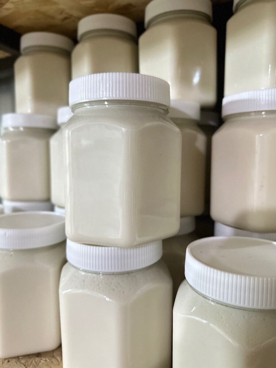 Эспарцет белый крем мёд