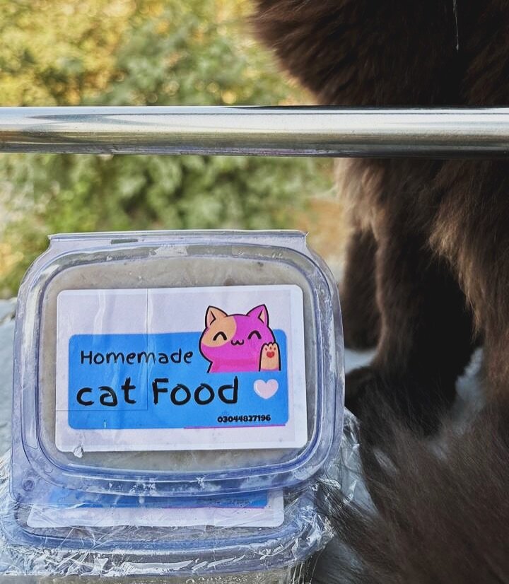 Homemade Cat Food