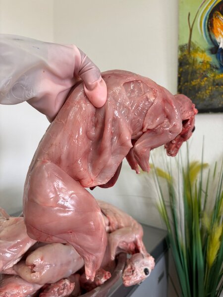 Lapin frais halal