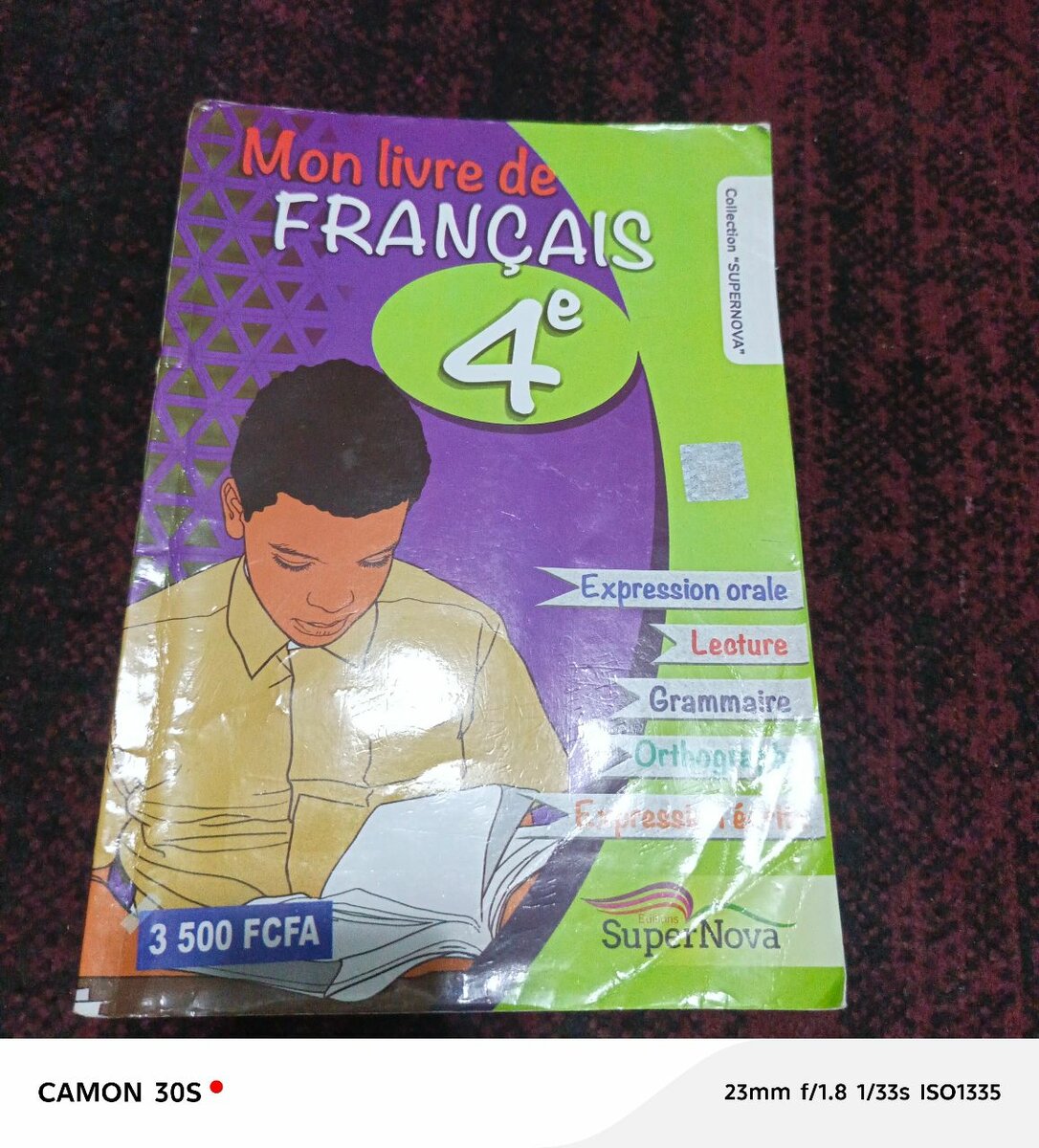 Manuels de Langues 4e