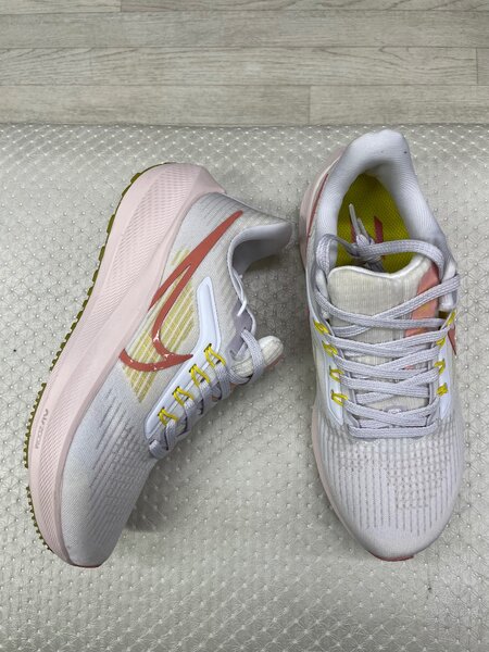 Nike pegasus 39