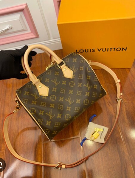 Sac à Main Louis Vuitton