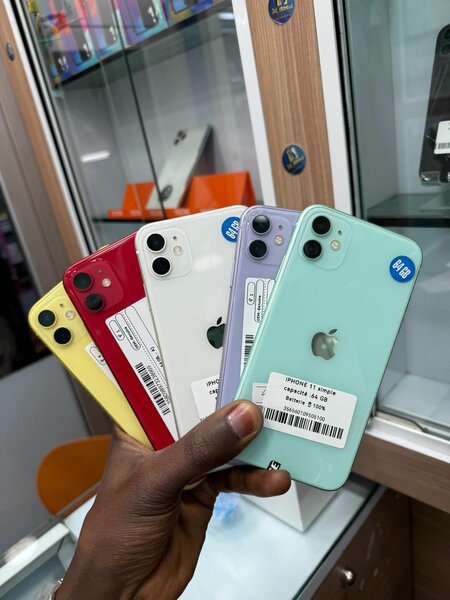 iPhone 11 - Couleurs Vives