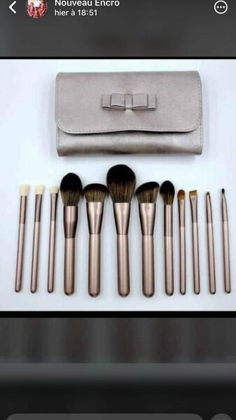 Set de pinceaux maquillage avec étui