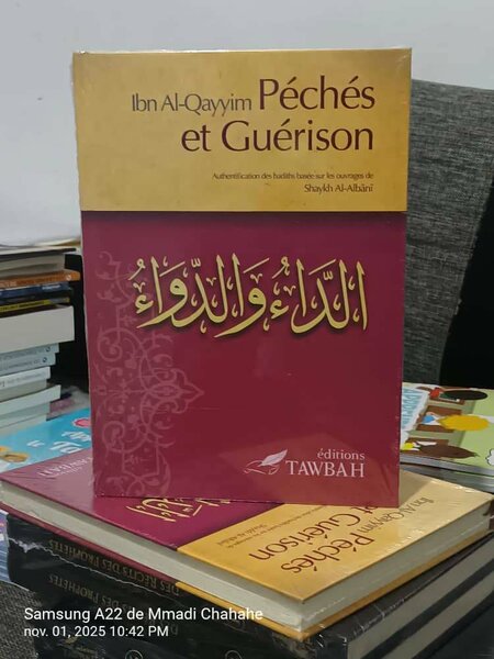 Livre 'Péchés et Guérison'