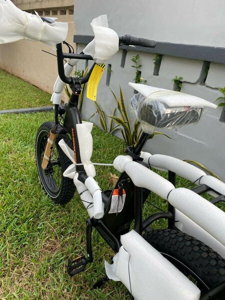 Rad Runner Electric Bike 48V