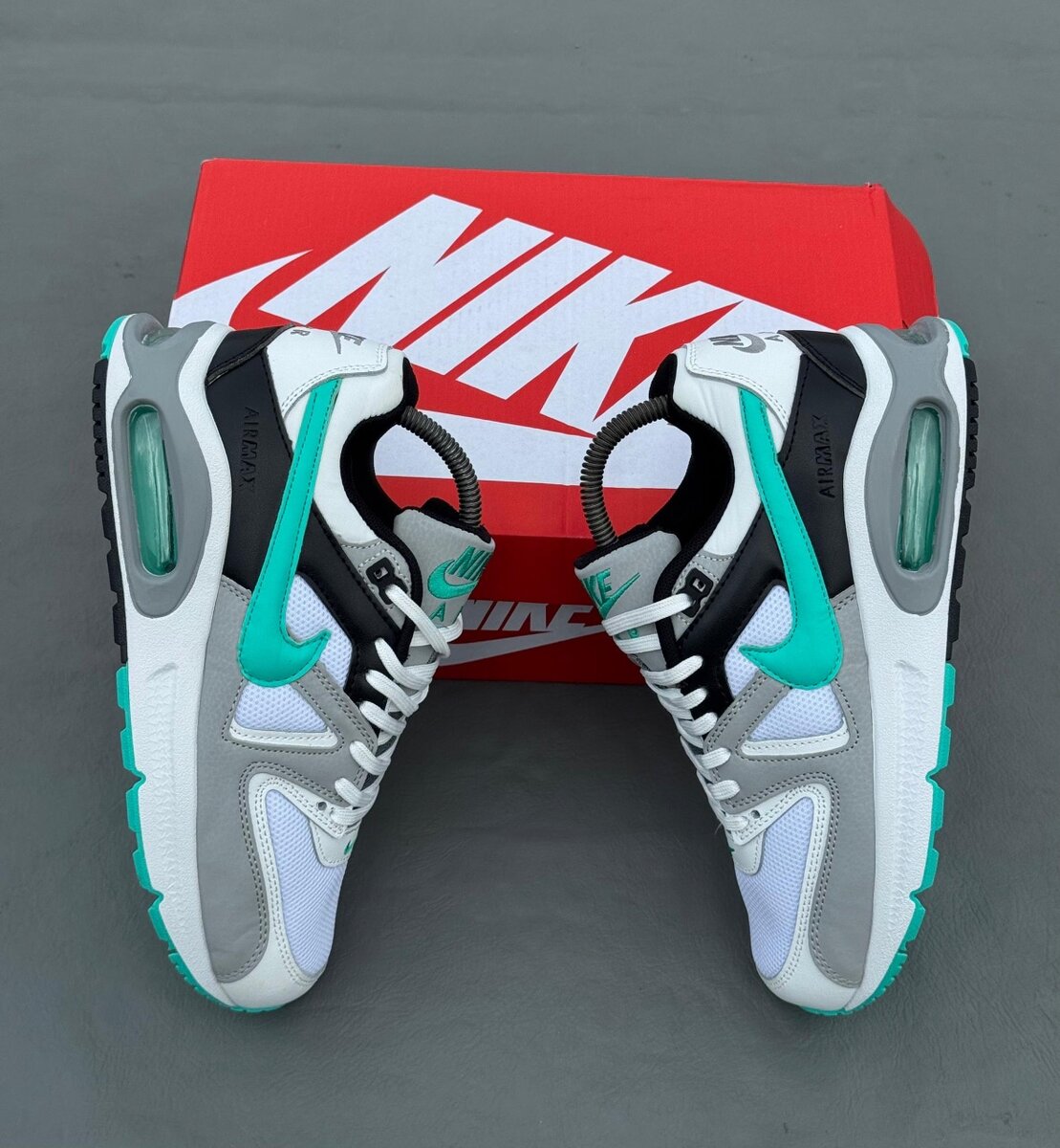 Baskets Nike Air Max élégantes