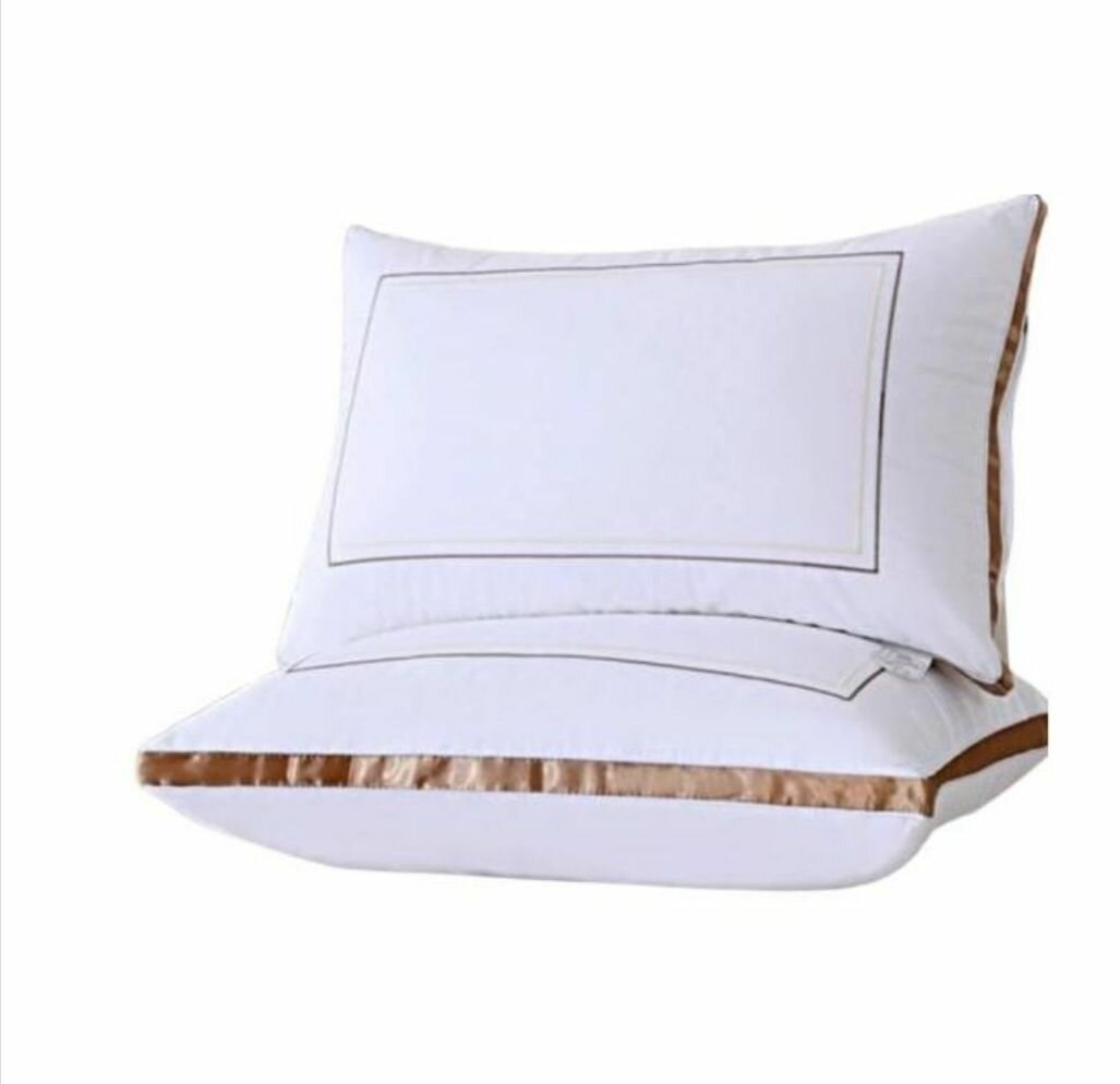 Lot de 2 oreillers coton doux