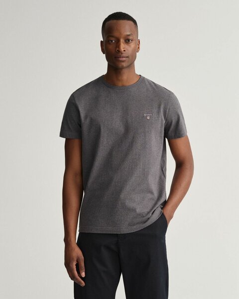 T-Shirt GANT Homme Gris