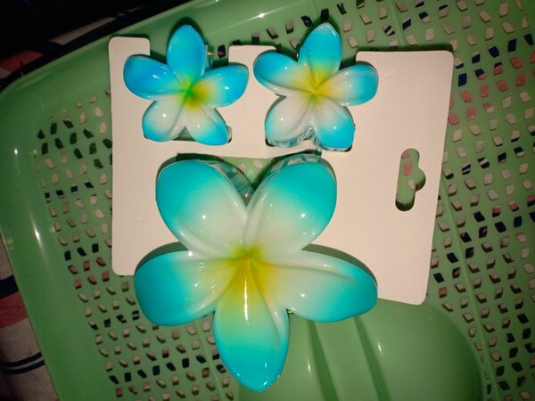 Pinces à cheveux fleurs tropicales