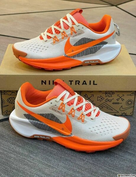 Nike Trail Chaussures Running