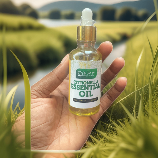 Divine Citronella Essential Oil (50ml)