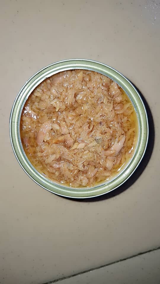 Boîte de conserve de thon