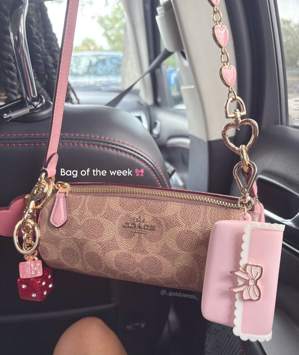 Coach Signature Crossbody Bag