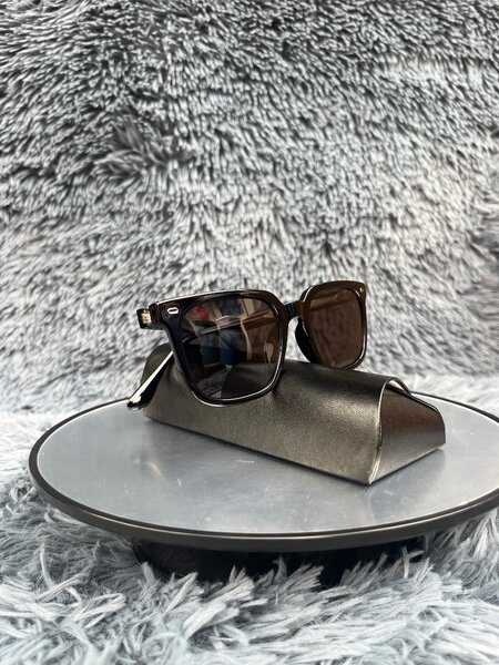 Lunettes de soleil élégantes