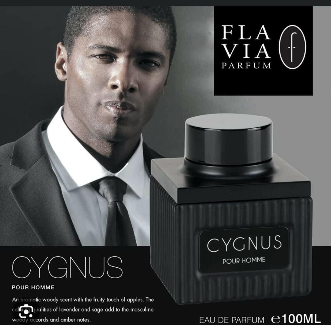 CYGNUS 100ML EDP