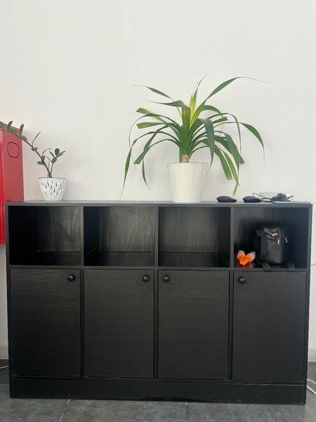 Пара шкафов для хранения документов, брошюр и т.д.