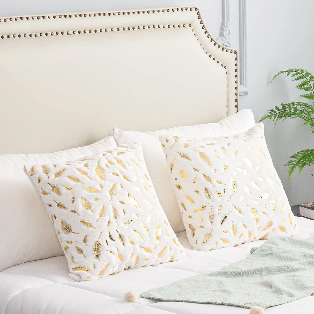 Coussin décoratif  1 à 3000f.