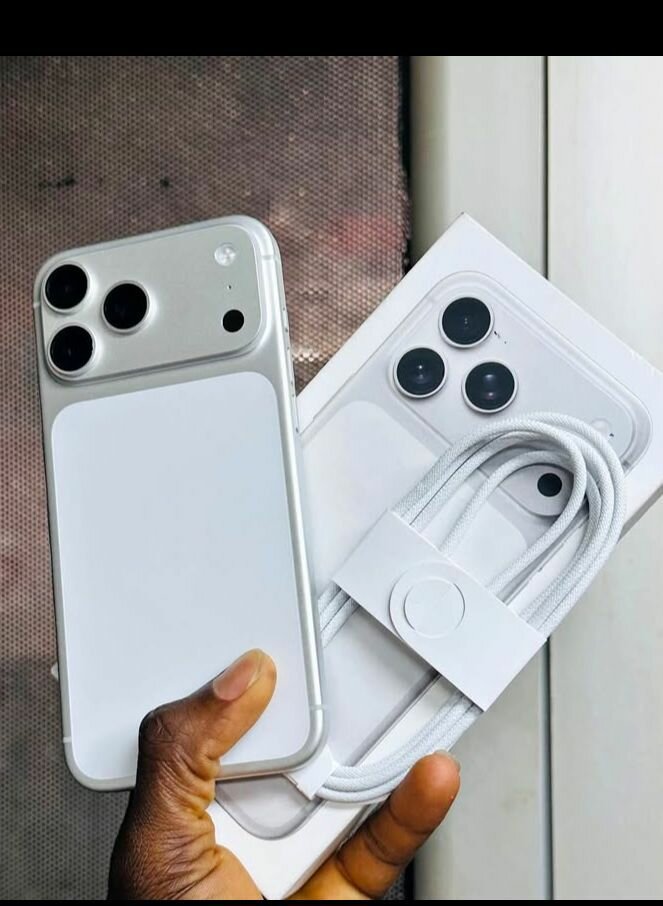 iPhone 14 Pro Max 256 Go Argent