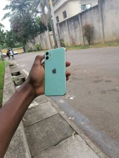 iPhone 11 Vert État Neuf