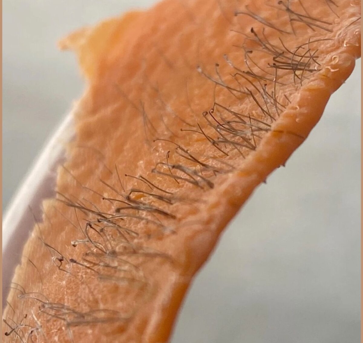 Chauffe-cire Pro-Wax100