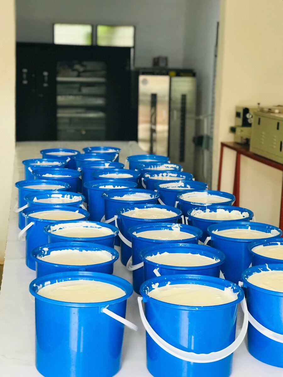 Low fat & full cream Greek Yoghurt