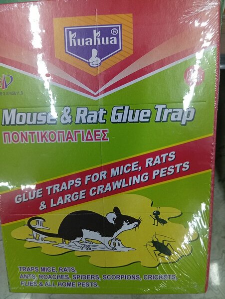 Pièges à colle pour souris et rats