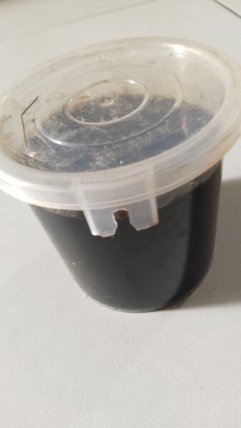 Savon noir blanchissant