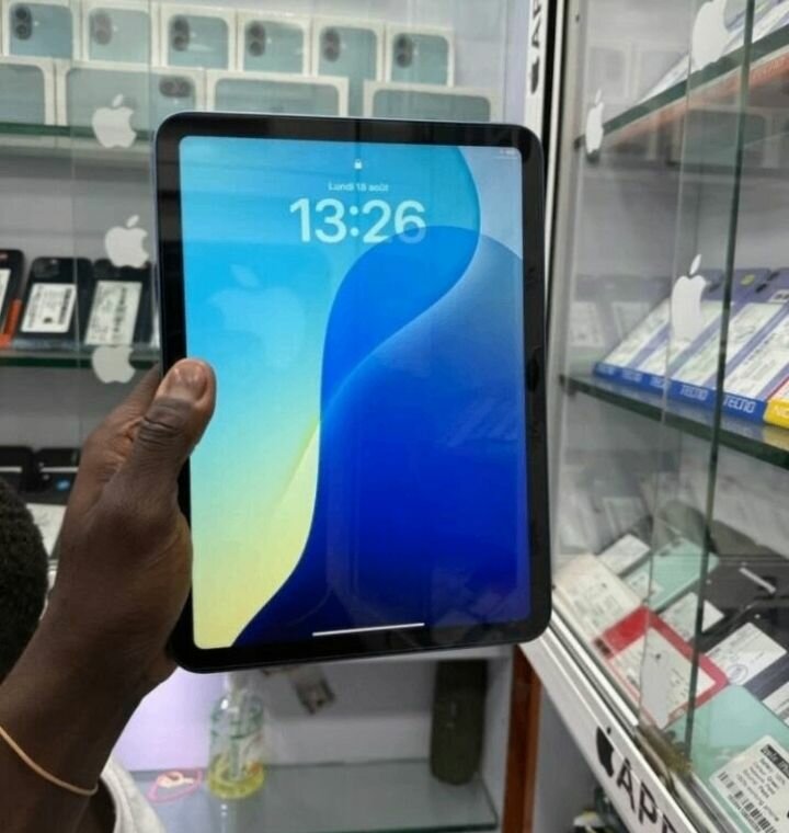 iPad Air Bleu