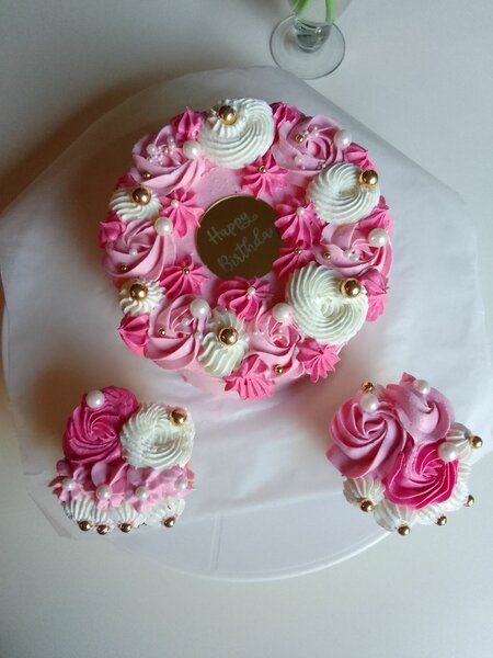 Bento cake and cupcakes