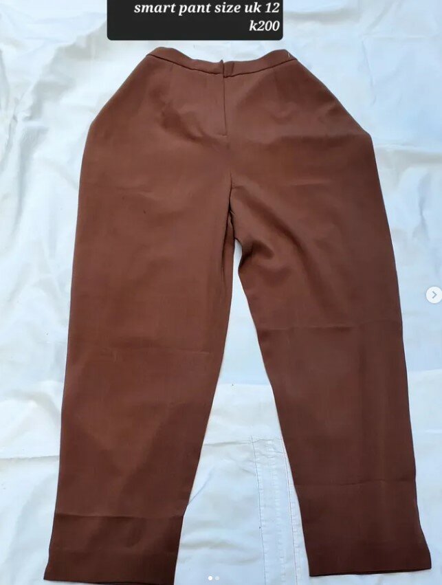 Stylish women's pants brown