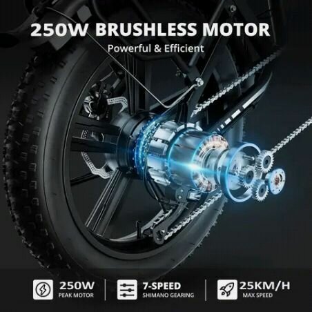 Vélo Électrique Pliable 250W