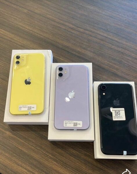 iPhone 11 - Couleurs variées