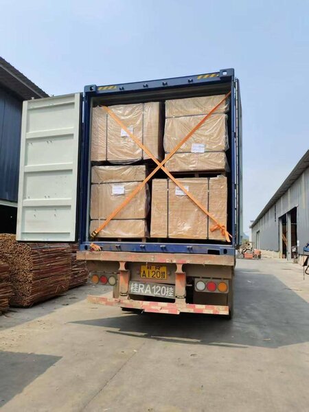 Contreplaqué de Construction Résistant