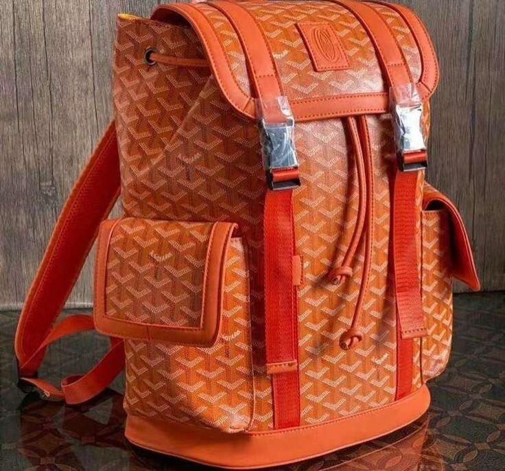 Sac à dos en cuir élégant