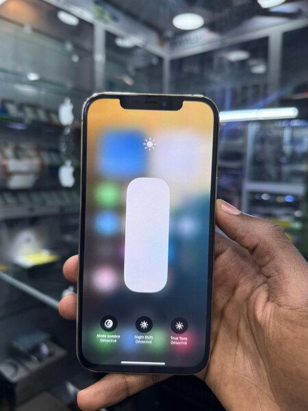 iPhone 12pro Max 256Go tout