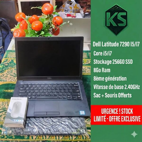 Dell Latitude 7290 i5/i7