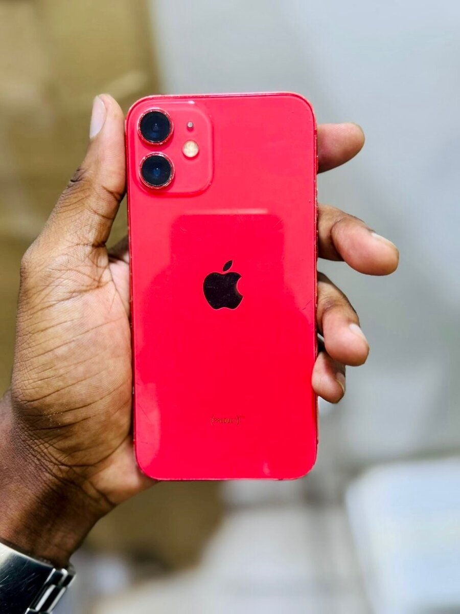 iPhone 12 Mini Bloqué sur Icloud