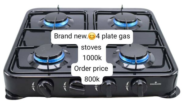 Portable gas stove