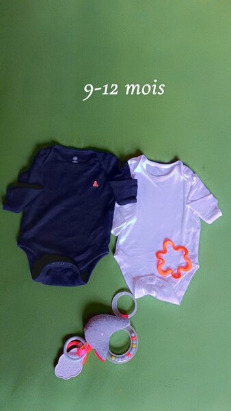 Bodys bébé 9-12 mois