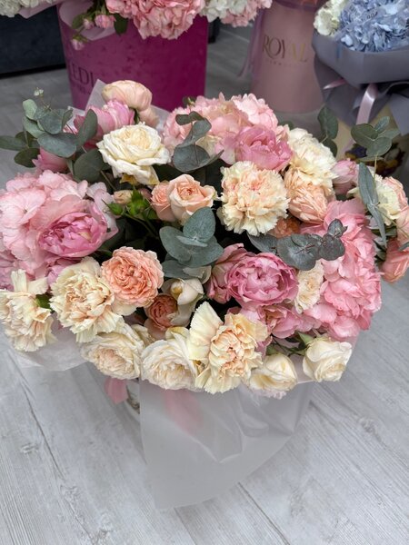 Цветы после др, продам себесто